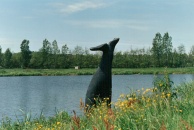 walvis walvis